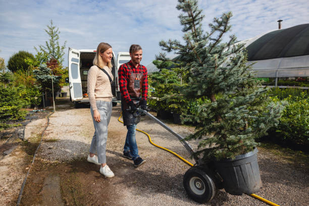 Best Palm Tree Trimming  in Ceredo, WV